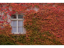 194���. ������� �������� ��� ����.jpg