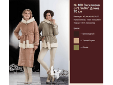 ������ 100.png