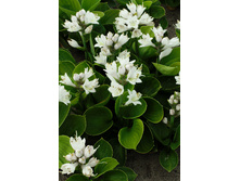 164,2���. ����� ������ ����(�������� ���� �� 1 ��., ����������� ����� 1��.)���17.jpg