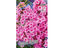 55,57���. ����� ����� ����(�������� ���� �� 3 ��., ����������� ����� 1��.).jpg