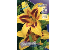 43,4���. �������� �������(�������� ���� �� 2 ��., ����������� ����� 1��.).jpg