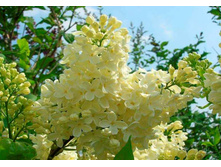 ������ ��������-194�.jpg