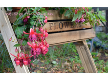 ������ Granada