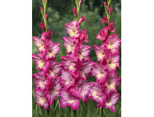 9,37���. ��������� ������(���������� ������ ������ ���������� �� 7 ��.).jpg