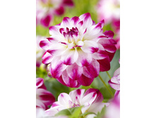 76,7���. �������� ��� ������(�������� ���� �� 1 ��., ����������� ����� 1��.)���17.jpg