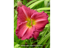 108,9���. �������� ������ ���� �����(�������� ���� �� 1 ��., ����������� ����� 1��.)���16.jpg