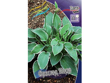 62,35���. ����� ������� ����(�������� ���� �� 2 ��., ����������� ����� 1��.).jpg