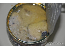 ���� �������� �� �������.jpeg