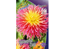 59,6���. �������� �������� ����(�������� ���� �� 1 ��., ����������� ����� 1��.).jpg