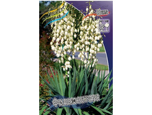 78,15���. ���� �����������(�������� ���� �� 2 ��., ����������� ����� 1��.).jpg