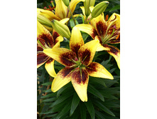 31,36���. ����� ����� ��������(��� 5 ��. ���������� �� 2��.).jpg