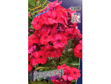 48,93���. ����� ���������(�������� ���� �� 3 ��., ����������� ����� 1��.).jpg