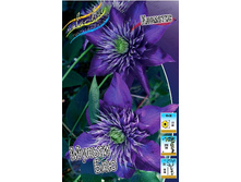 124,3���. �������� ������ ���(�������� ���� �� 2 ��., ����������� ����� 1��.).jpg