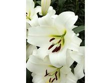 29,87���. ����� ������(��� 7 ��. ���������� �� 2��.).jpg