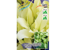 116,8���. ����� ���� �����(�������� ���� �� 1 ��., ����������� ����� 1��.).jpg