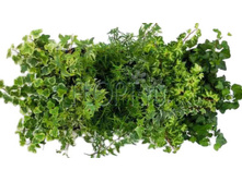 ������ ���� 6��. 9�10. 93,49 ���.jpg