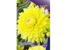 83,5���. �������� �������(�������� ���� �� 1 ��., ����������� ����� 1��.).jpg