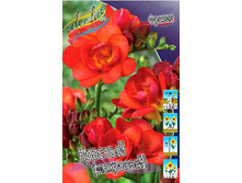 6,15���. ������ ������� (������.)(���������� ������ ������ ���������� �� 10 ��.).jpg