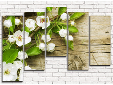 ������� ������ 5-1.jpg