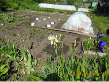 DSCN2112.JPG