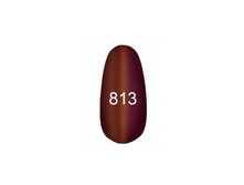 813.png