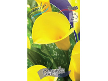 66,3���. ����� �������(�������� ���� �� 2 ��., ����������� ����� 1��.).jpg