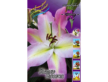 27,34���. ����� ����� ������(��� 7 ��. ���������� �� 2��.).jpg