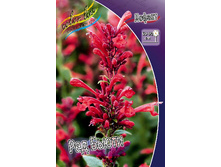 116,8���. ������ ��� �����(�������� ���� �� 1 ��., ����������� ����� 1��.).jpg