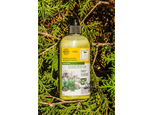 ����������� ������ ���� "����", 219,3