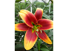 40,8���. ����� ��� �������(��� 5 ��. ���������� �� 2��.).jpg