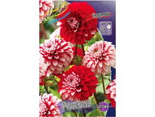 83,5���. �������� �������(�������� ���� �� 1 ��., ����������� ����� 1��.).jpg