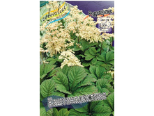 101,85���. ��������� ��������������(�������� ���� �� 2 ��., ����������� ����� 1��.).jpg