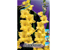 7,86���. ��������� �������(���������� ������ ������ ���������� �� 7 ��.).jpg