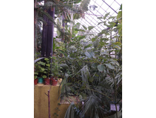 DSCF8092.JPG