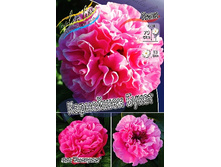 2857,4���. ���� ��������� �����(�������� ���� �� 1 ��., ����������� ����� 1��.).jpg