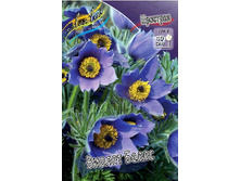 73,4���. �������� ������ �����(�������� ���� �� 2 ��., ����������� ����� 1��.).jpg