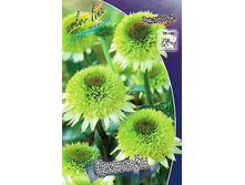 251,1���. �������� ��������(�������� ���� �� 1 ��., ����������� ����� 1��.).jpg