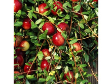 179���. ������ ������������� �������.jpg