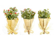 ����� "����� � �������� �ף����" 28�� ������: 7206