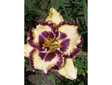 187,9���. �������� ������� ���� ���(�������� ���� �� 1 ��., ����������� ����� 1��.)���16.jpg