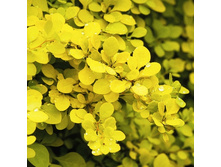 137���. �������� �������� �����.jpg