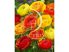 10,1���. ���������� ������ ���������(���������� ������ ������ ���������� �� 10 ��.)���17.jpg