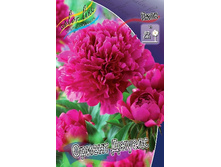 180���. ���� ������ ������(�������� ���� �� 1 ��., ����������� ����� 1��.).jpg