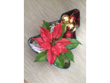 ����������.