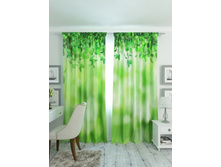 ������� ��������.jpg