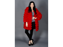 ���� �����