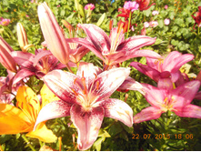 DSCN1535.JPG