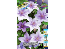 136,6���. �������� �������(�������� ���� �� 2 ��., ����������� ����� 1��.).jpg