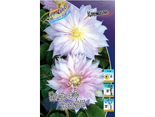 136,6���. �������� ���� �� ������(�������� ���� �� 2 ��., ����������� ����� 1��.).jpg