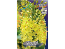 67,1���. ����� ������(�������� ���� �� 2 ��., ����������� ����� 1��.).jpg